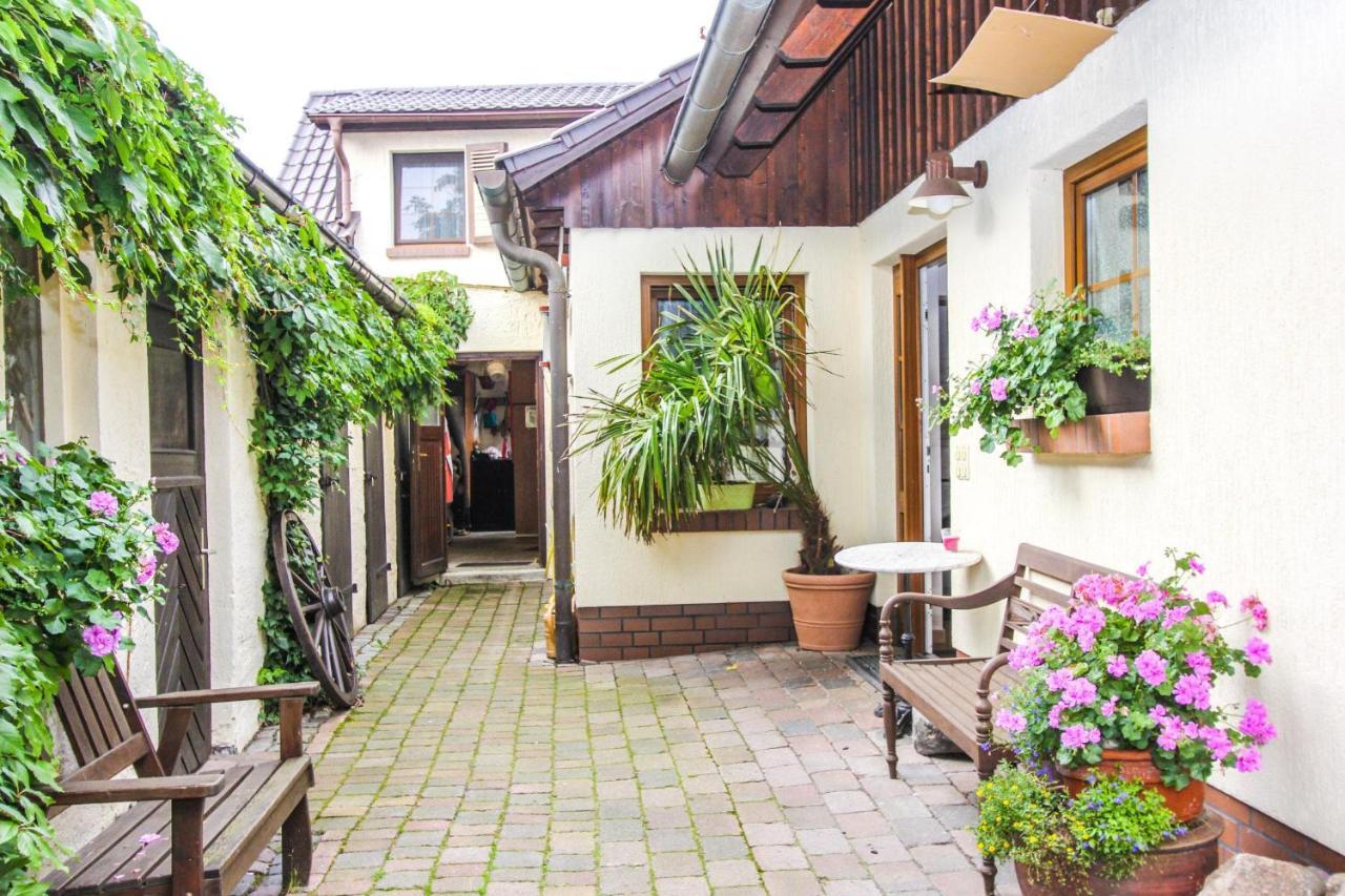 Ferienwohnung Likedeeler 6 Ostseeheilbad Ostseeheilbad Zingst Exterior foto